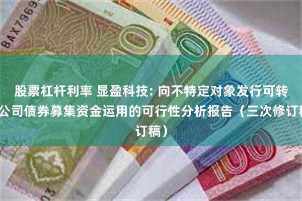 股票杠杆利率 显盈科技: 向不特定对象发行可转换公司债券募集资金运用的可行性分析报告（三次修订稿）