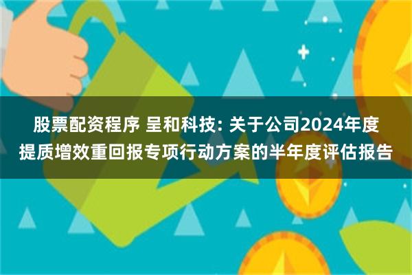 股票配资程序 呈和科技: 关于公司2024年度提质增效重回报专项行动方案的半年度评估报告