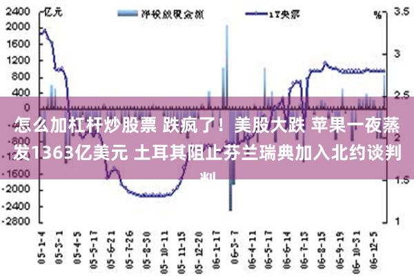 怎么加杠杆炒股票 跌疯了！美股大跌 苹果一夜蒸发1363亿美元 土耳其阻止芬兰瑞典加入北约谈判