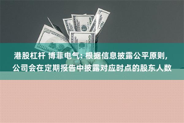 港股杠杆 博菲电气: 根据信息披露公平原则, 公司会在定期报告中披露对应时点的股东人数