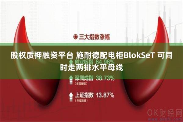 股权质押融资平台 施耐德配电柜BlokSeT 可同时走两排水平母线