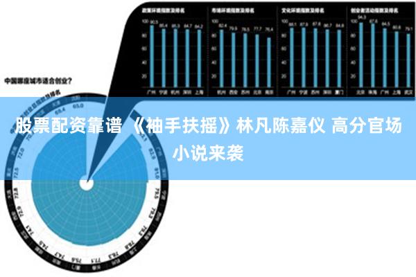 股票配资靠谱 《袖手扶摇》林凡陈嘉仪 高分官场小说来袭