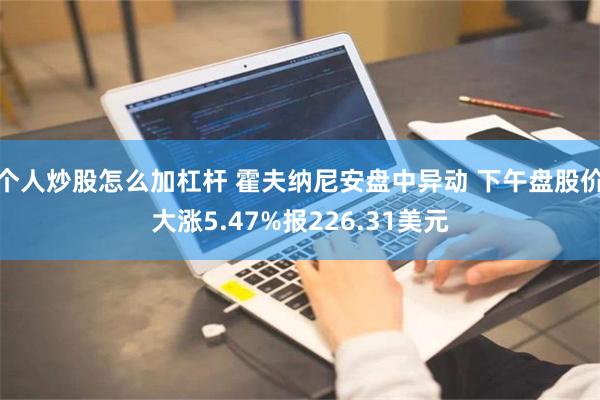 个人炒股怎么加杠杆 霍夫纳尼安盘中异动 下午盘股价大涨5.47%报226.31美元