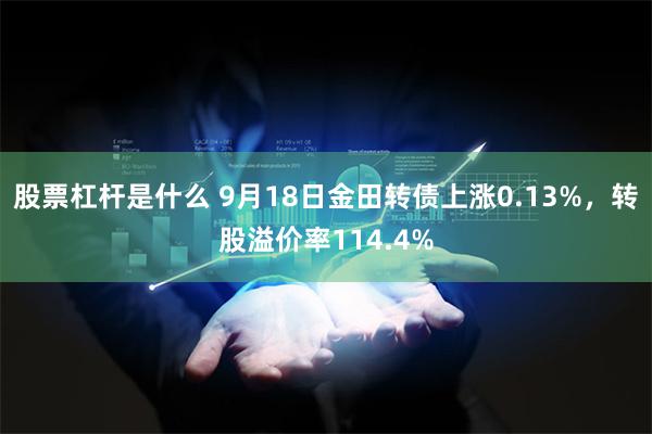 股票杠杆是什么 9月18日金田转债上涨0.13%，转股溢价率114.4%