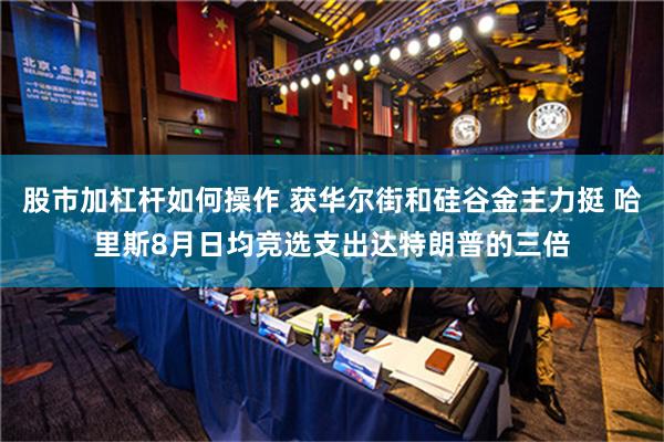 股市加杠杆如何操作 获华尔街和硅谷金主力挺 哈里斯8月日均竞选支出达特朗普的三倍