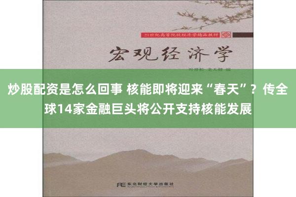 炒股配资是怎么回事 核能即将迎来“春天”？传全球14家金融巨头将公开支持核能发展