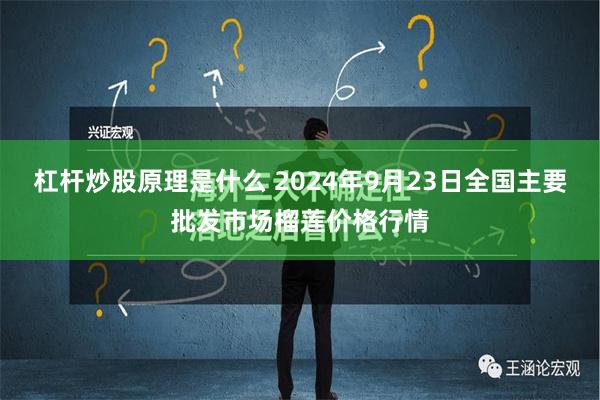 杠杆炒股原理是什么 2024年9月23日全国主要批发市场榴莲价格行情