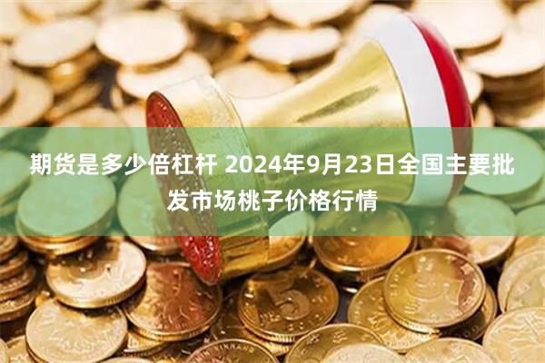 期货是多少倍杠杆 2024年9月23日全国主要批发市场桃子价格行情