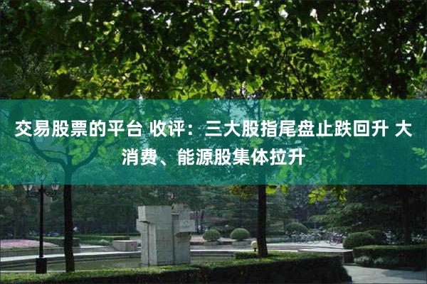 交易股票的平台 收评：三大股指尾盘止跌回升 大消费、能源股集体拉升