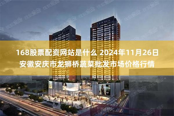 168股票配资网站是什么 2024年11月26日安徽安庆市龙狮桥蔬菜批发市场价格行情