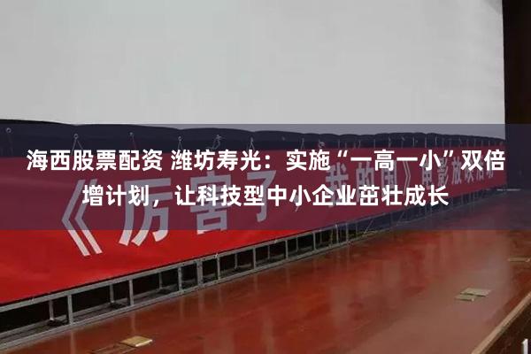 海西股票配资 潍坊寿光：实施“一高一小”双倍增计划，让科技型中小企业茁壮成长